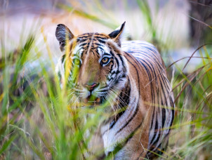 Fotoschule-Koeln | Fotokurse in Köln |