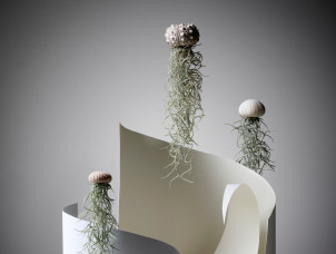 Fotoschule-Koeln | Fotokurse in K&ouml;ln | 