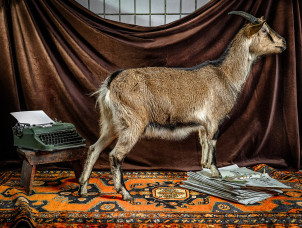Fotoschule-Koeln | Fotokurse in K&ouml;ln | 