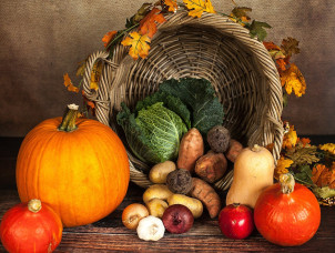 Fotoschule-Koeln | Fotokurse in K&ouml;ln | 