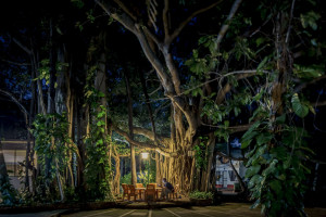 fotokurse-koeln-filmen-mit-der-dslr-david30