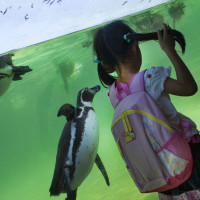 koeln-fotokurse-und-fotoworkshops-dozent-frank-duerrach-01