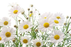 jasminawad-fotokurse-koeln-fotokurs-fotoworkshop-001