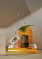 010_diplomserie-1_vogt-849x1200